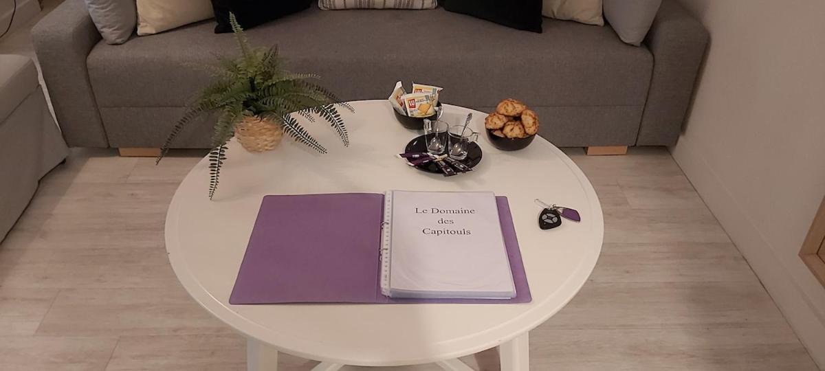 Les Capitouls - Avec Entree Autonome, Clim Neuve, Jardin, Parking Prive & Sa Piscine ! - Apartment Toulouse Ngoại thất bức ảnh