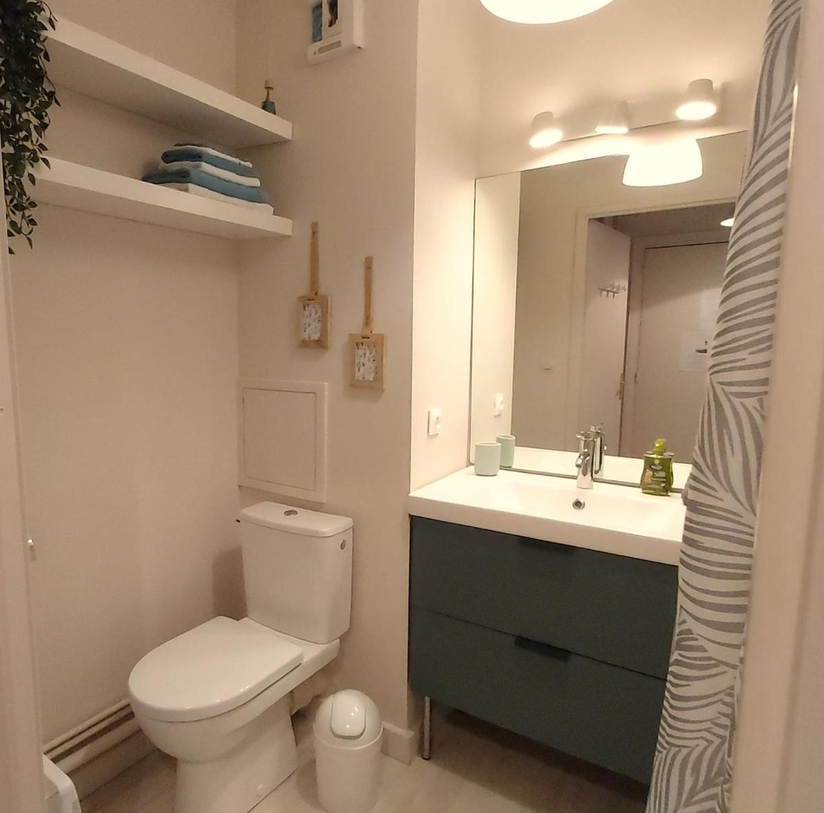 Les Capitouls - Avec Entree Autonome, Clim Neuve, Jardin, Parking Prive & Sa Piscine ! - Apartment Toulouse Ngoại thất bức ảnh
