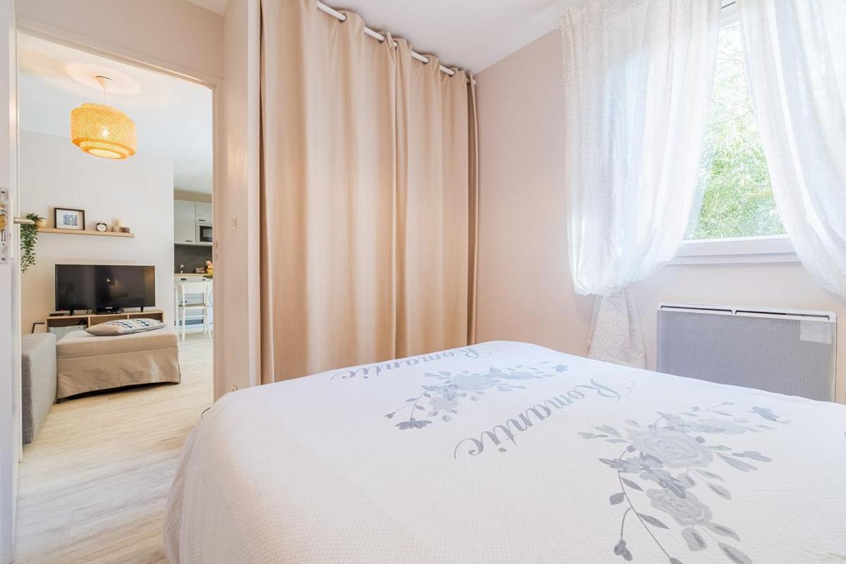Les Capitouls - Avec Entree Autonome, Clim Neuve, Jardin, Parking Prive & Sa Piscine ! - Apartment Toulouse Ngoại thất bức ảnh